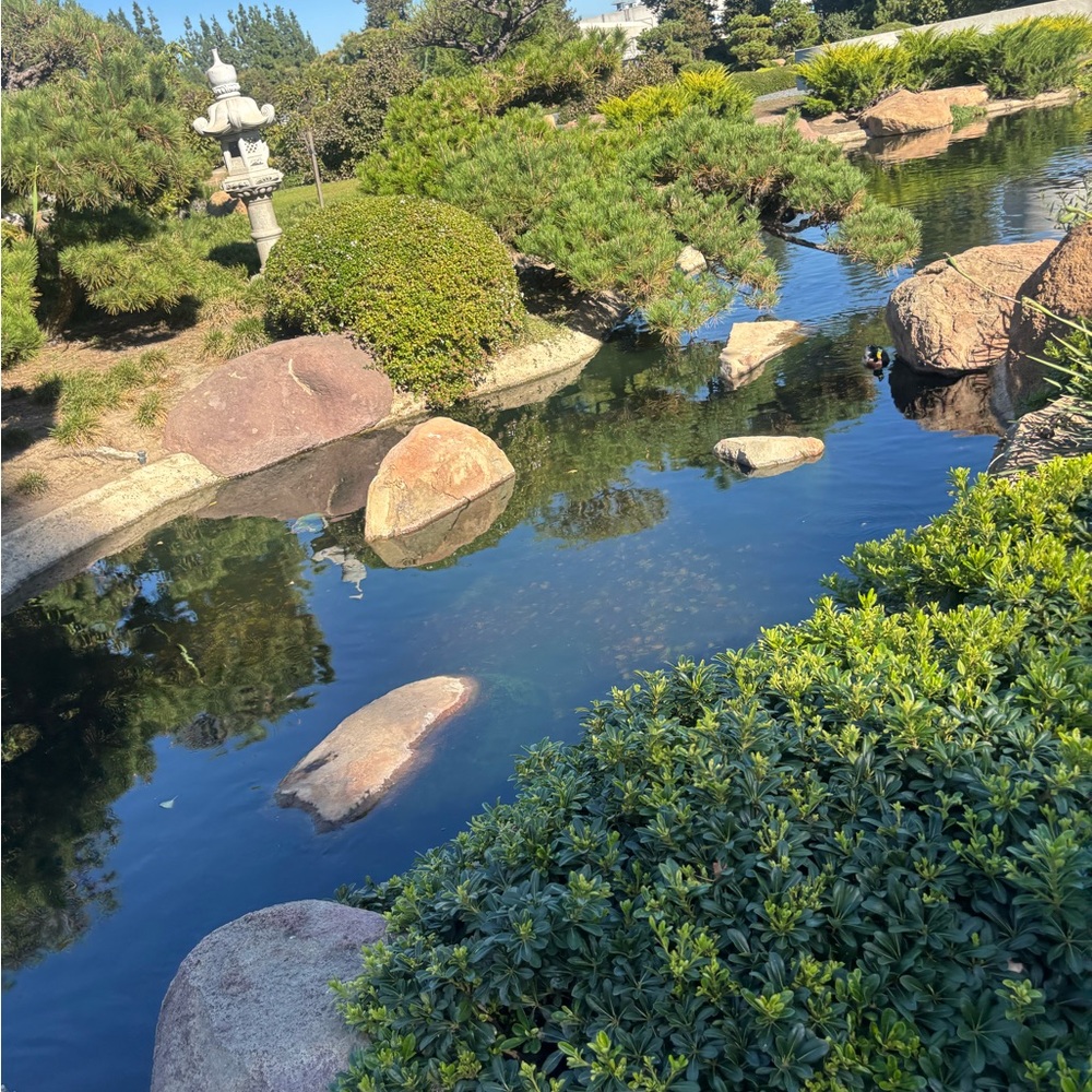 Meet your Posher, Alma